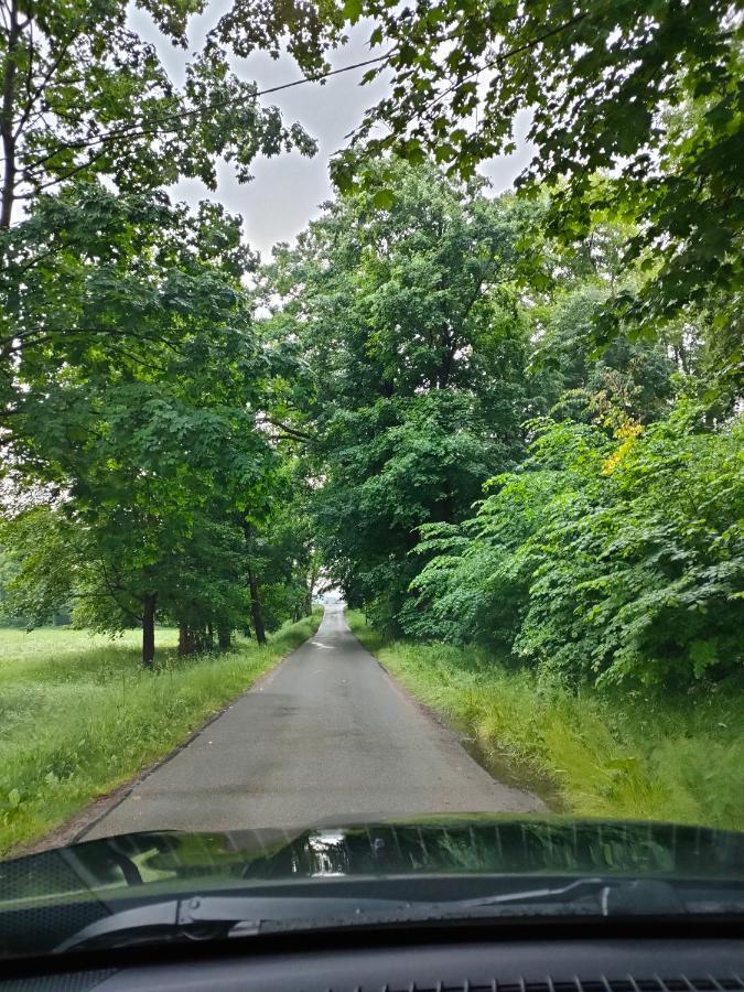 Domki i Pokoje u Borsa Lesko Exteriér fotografie